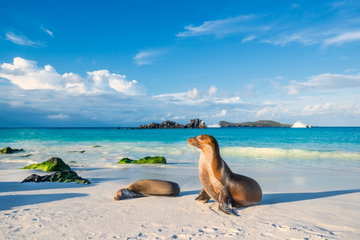 In Darwin's Footsteps with HX Expeditions