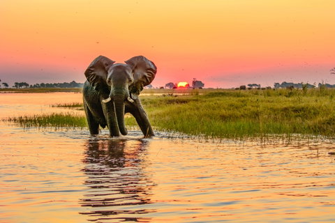 Linyanti Wilderness, Okavango Delta & Victoria Falls