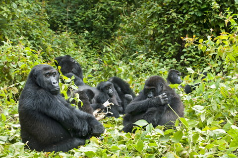 Private Safari holidays