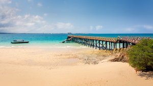 Prison Island