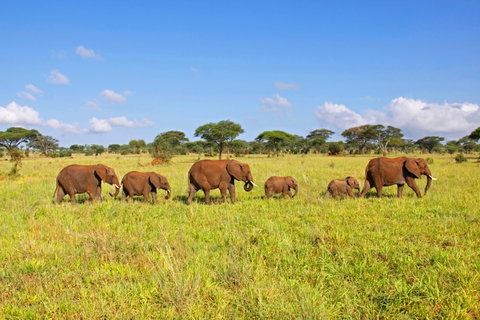 East Africa Explorer (Small Group)