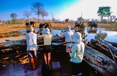 Botswana Family Holidays