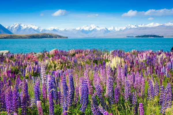 Breathtaking New Zealand