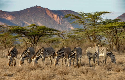 Highlights of Kenya