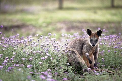 Wildlife Holidays holidays