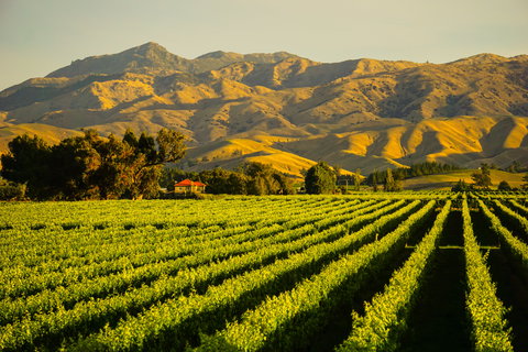 Food & Wine Holidays holidays