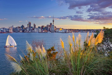 Stanley Bay, sailboats, skyline of Auckland, north Island, New Zealand Stanley aotearoa architecture boat building capital city grass high rises new zealand north oceania outside view place of interest sailboats sailings sea shore skyline auckland southern hemisphere stanley bay town view travel travel photography vacation 