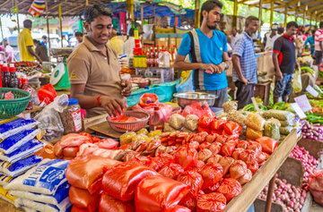 Galle Culinary Experience