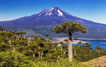 Chile in Style
