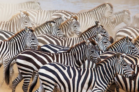 Private Safari holidays