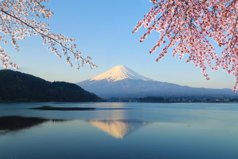 Hand in Hand in Japan