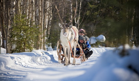 Lapland Family Holidays
