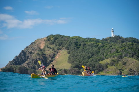 Kayak With Dolphins