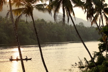River view at dawn from the Windermere River House, Periyar River, India
