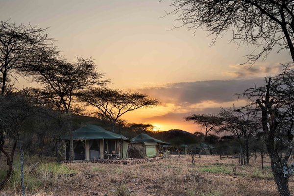 Ole Serai Luxury Camp - Moru Kopjes
