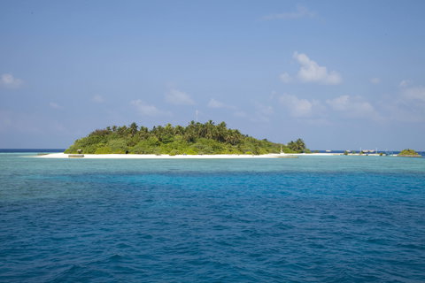 Local Island Discovery