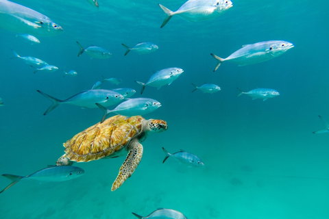 All Inclusive Holidays holidays