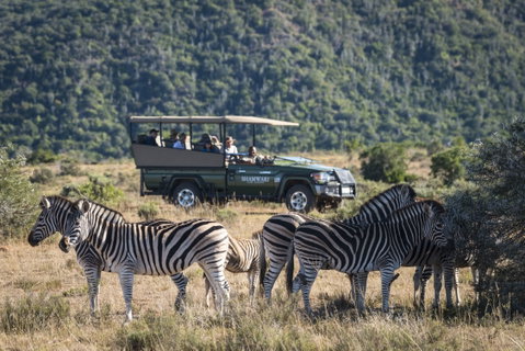 Shamwari Private Game Reserve