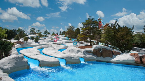 Disney’s Water Parks