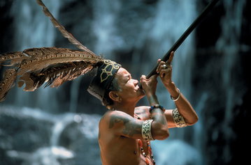 Journey through Sarawak