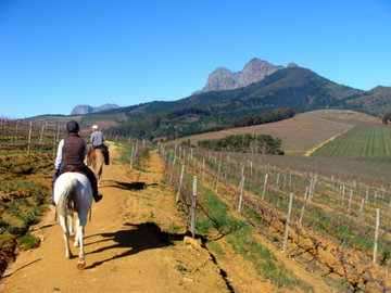 Private Wine Country Tour