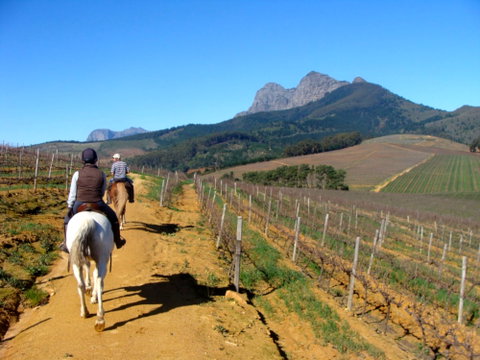 Private Wine Country Tour