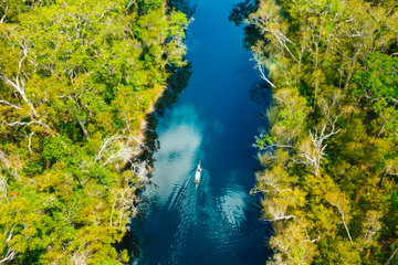 Noosa Everglades Cruise & Canoe