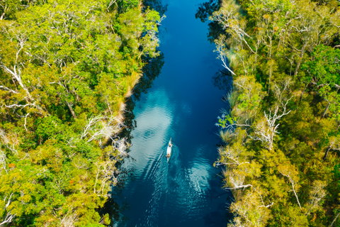 Noosa Everglades Cruise & Canoe