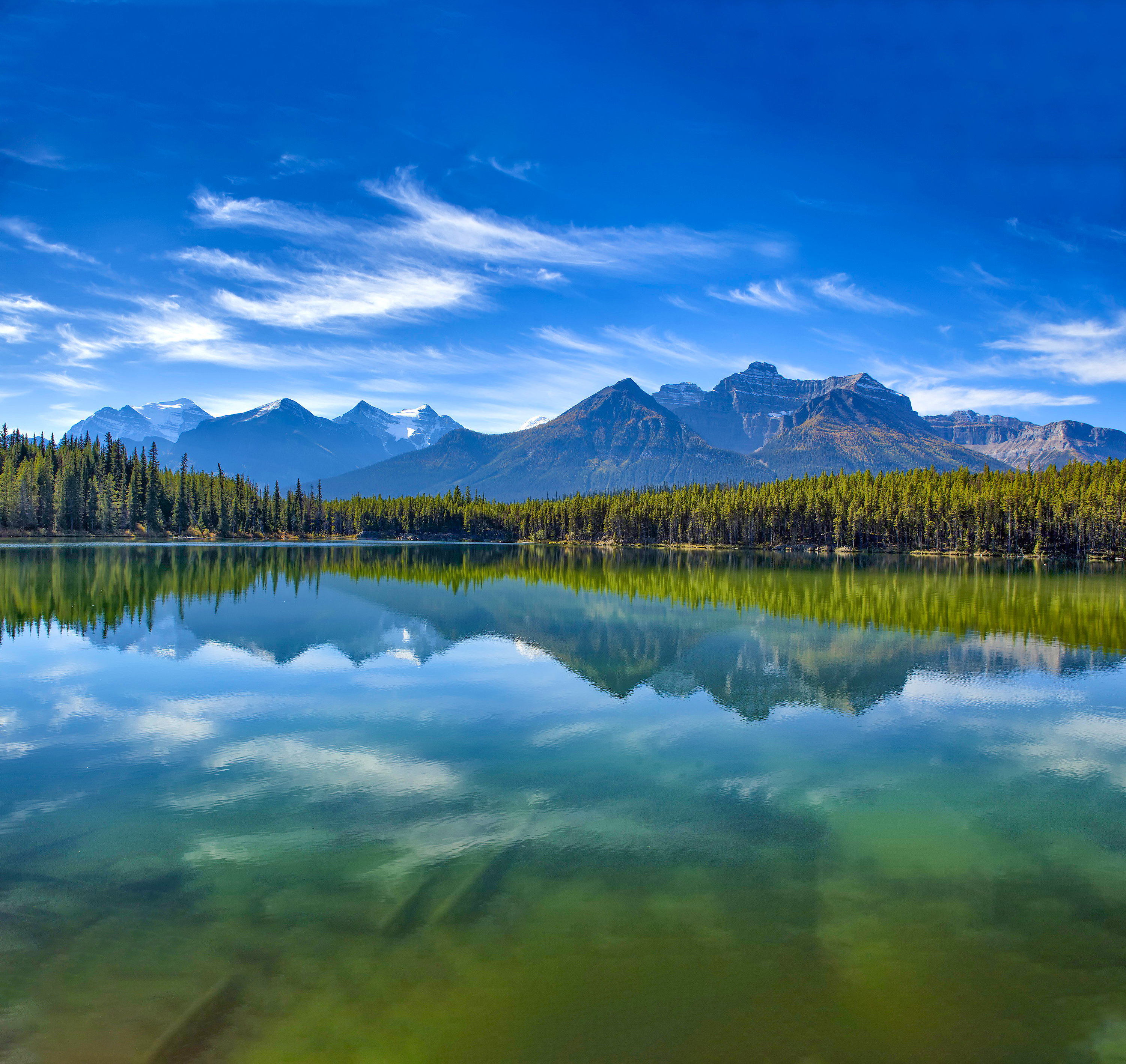 Stunning Lake reflection on a bright sunny day, Algonquin, Ontario, Canada