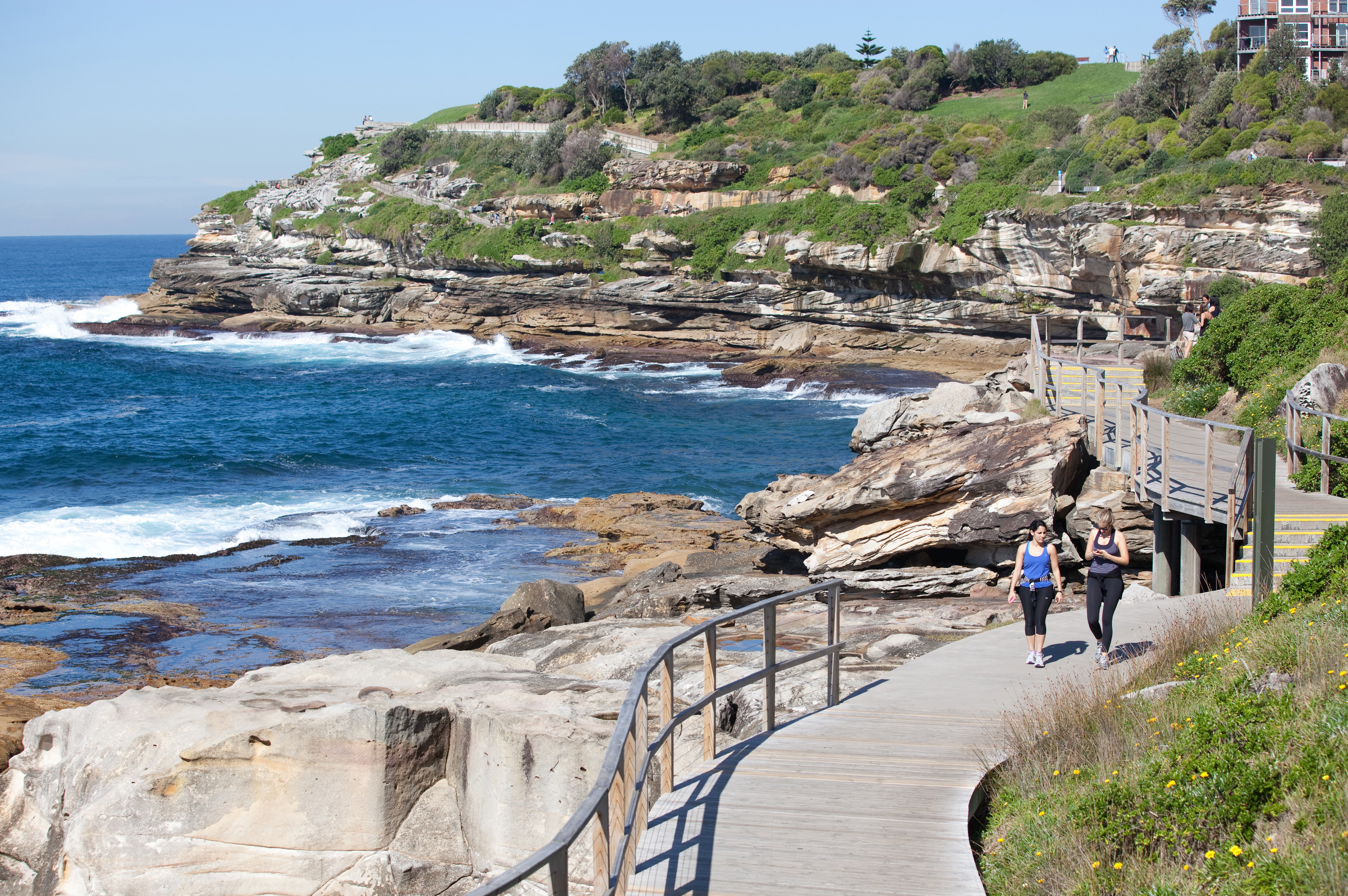 Bondi to Coogee Coastal Walk, Sydney