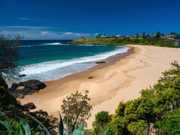 A stretch of golden sand leading towards the sea, surrounded by dense forest and cliff tops dotted with houses, Kiama, Australia