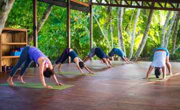 Wellness, Wildlife & Waves