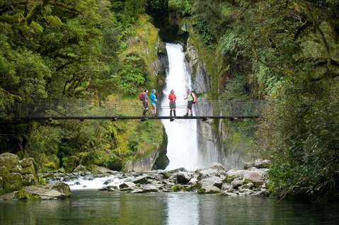 4 Night Fiordland Great Walk Package