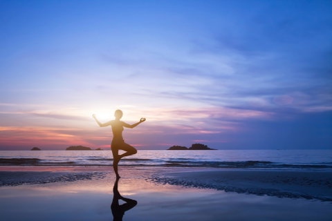 Wellness Holidays holidays