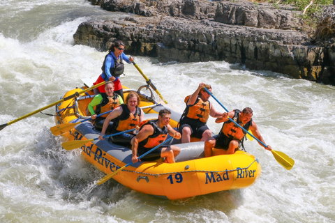 Jackson Hole Whitewater Rafting