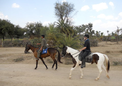 Horse riding through the Aravalli Hills