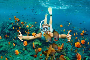 Ras Mohammed Snorkelling Cruise