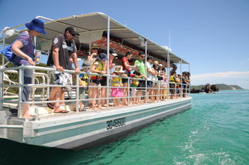 Tangalooma Sea to Sky with Marine Discovery