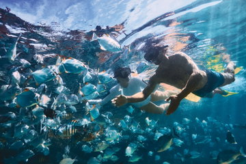 Tangalooma Sea to Sky with Snorkel the Shipwrecks