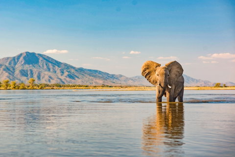 Mana Pools National Park