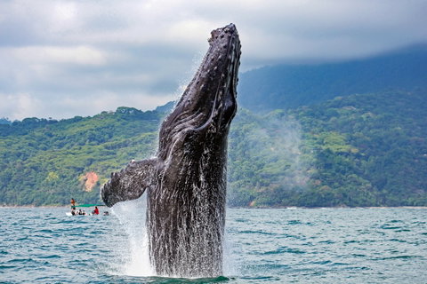 Marino Ballena National Park