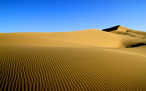 Discover Mongolia