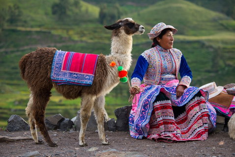 South & Central America