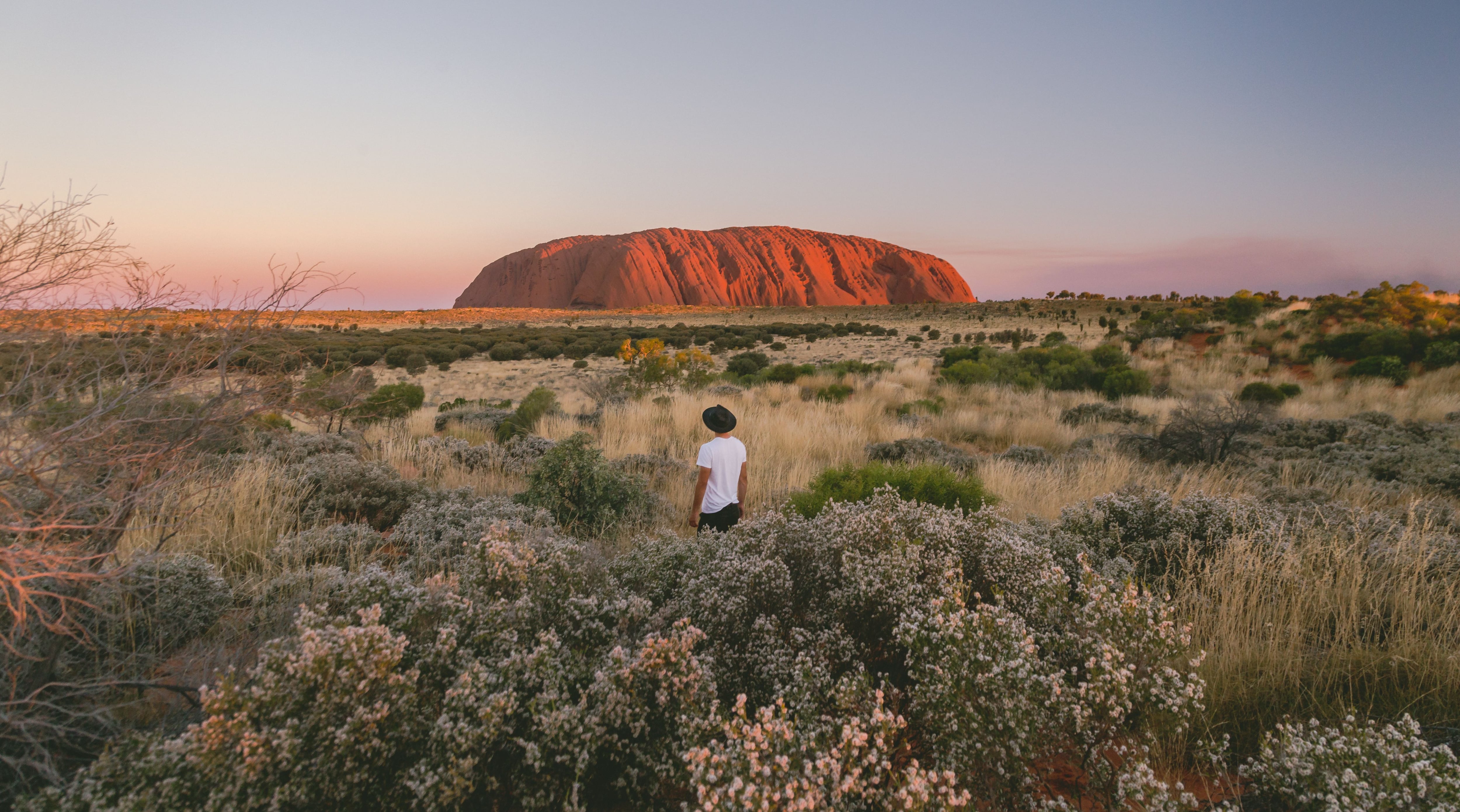 A single male traveller in a white t-shirt and a black hat stands in the Australian bush as he watches the sunset over Uluru surrounded by vast desert landscape.