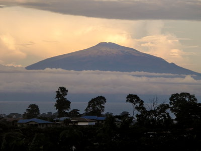 Cameroon