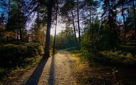 Guided Group Journeys holidays