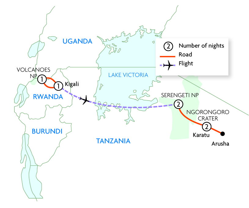 Gorillas & Game Parks