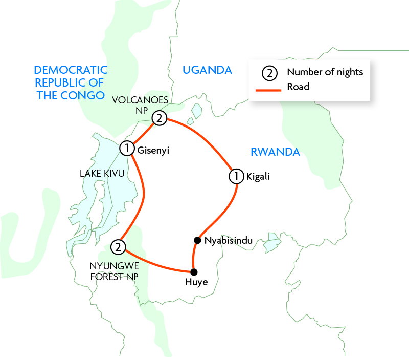 Gorillas & Chimps of Rwanda in Style