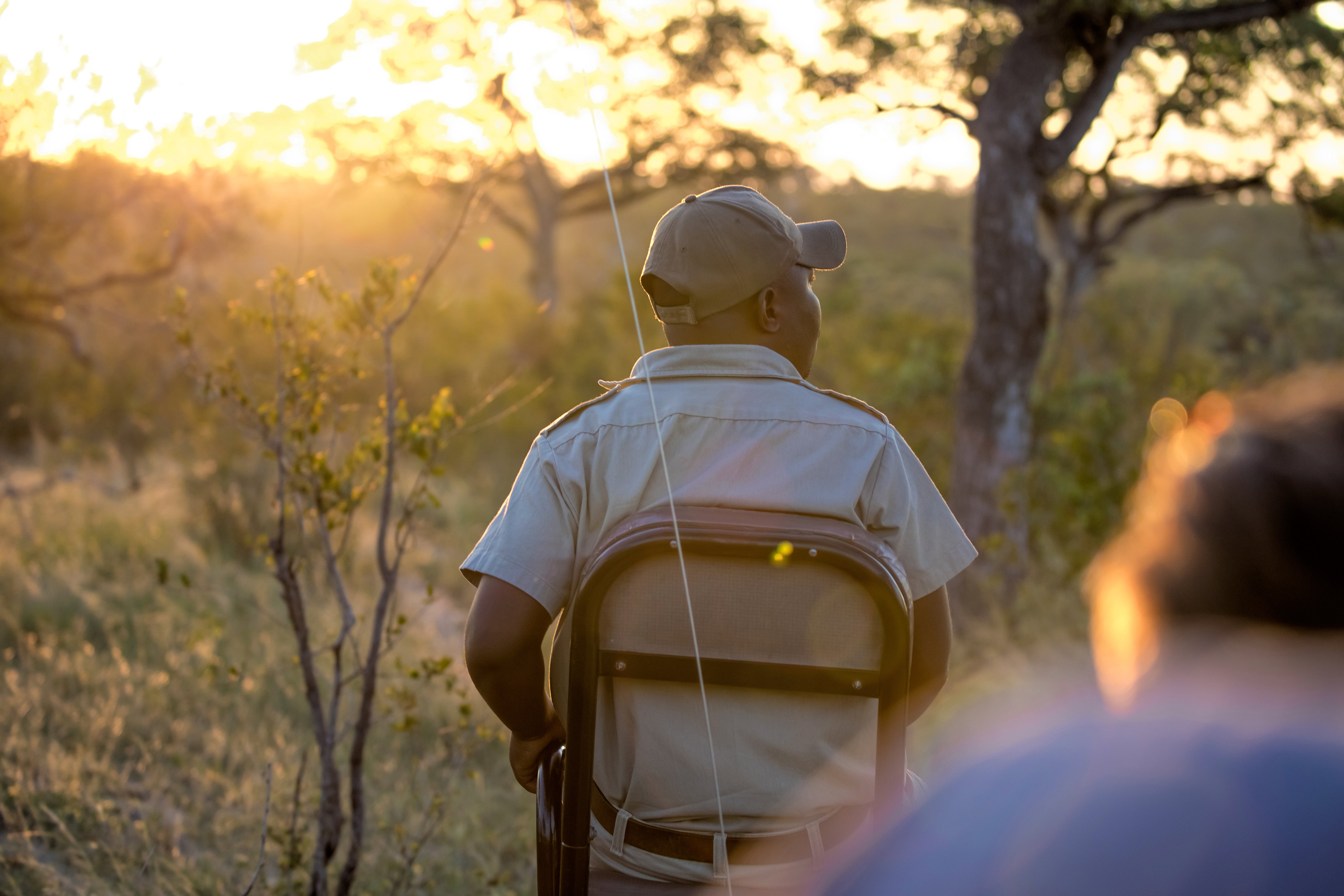 Safari tracker on game drive, Africa