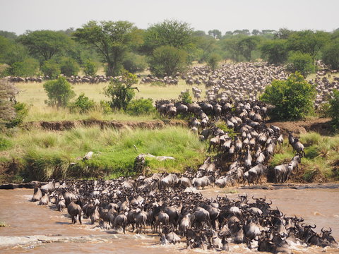 Northern Serengeti